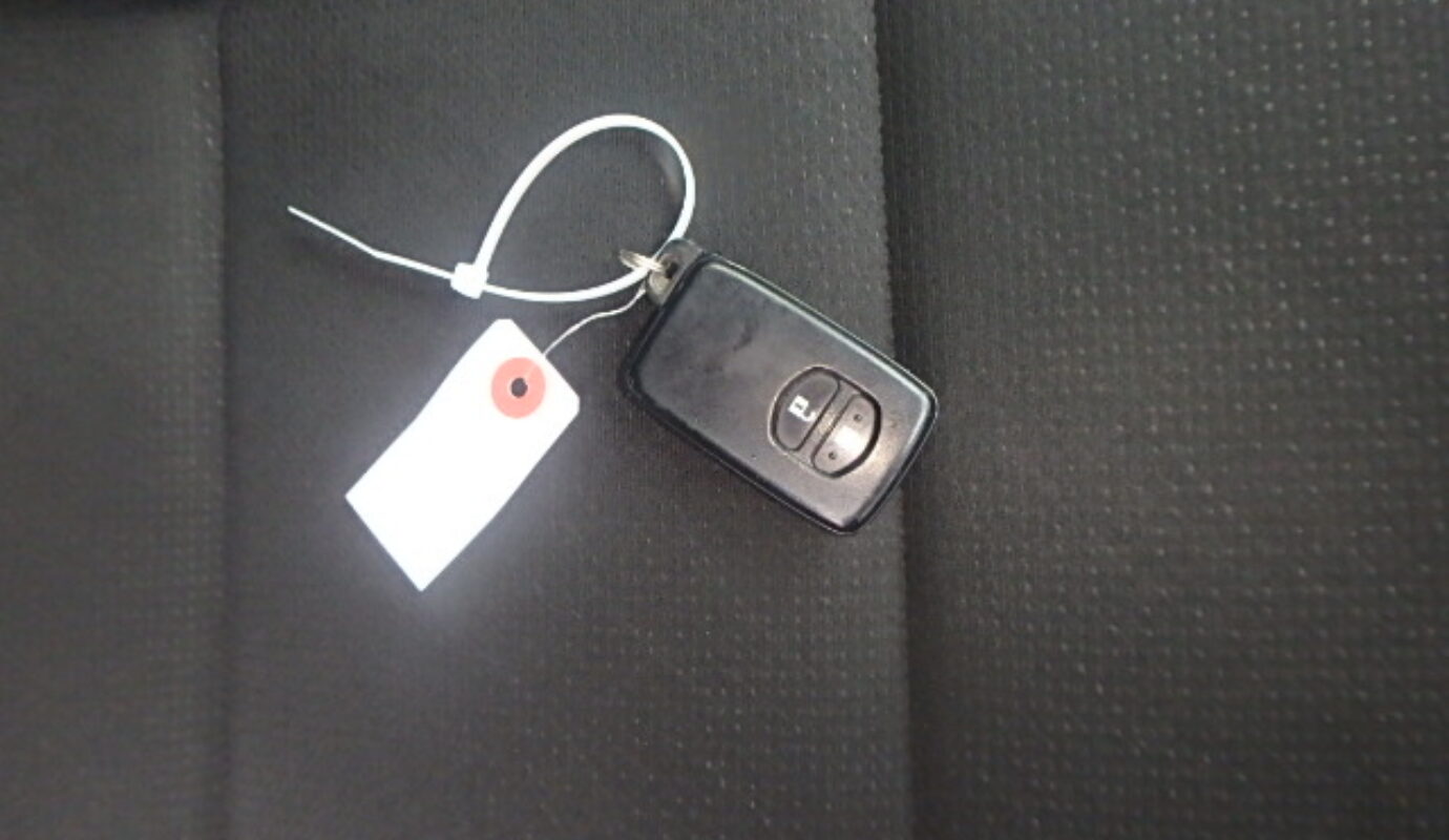 AXIO NON-HYBRID EX 2020