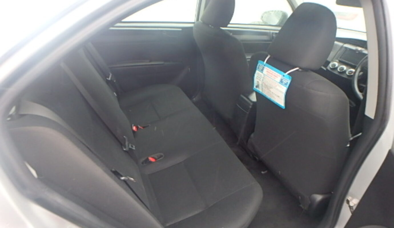 AXIO NON-HYBRID EX 2020